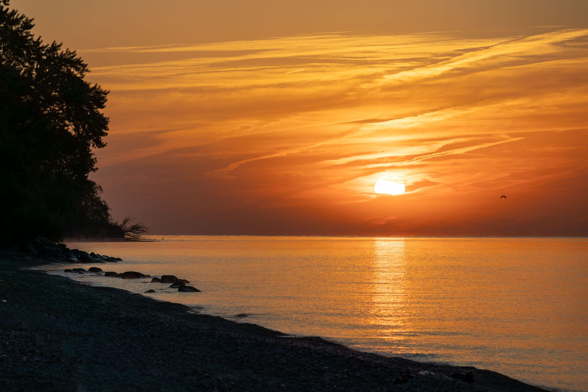 IMG 2123 Enhanced NR copy